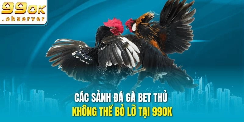 Các sảnh đá gà bet thủ không thể bỏ lỡ tại 99ok
