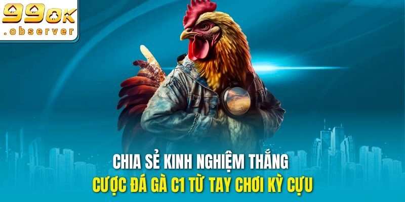 Chia sẻ kinh nghiệm thắng cược đá gà c1 từ tay chơi kỳ cựu