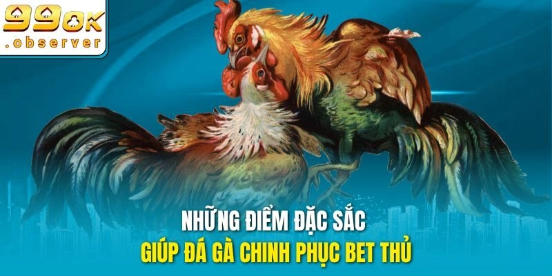 Những điểm đặc sắc giúp đá gà chinh phục bet thủ