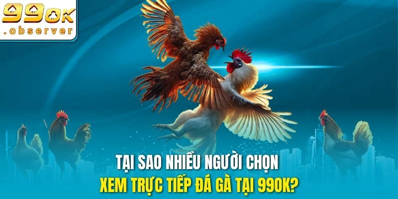 Tại sao nhiều người chọn xem trực tiếp đá gà tại 99ok?